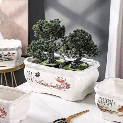 Chậu sứ chữ nhật bonsai S1